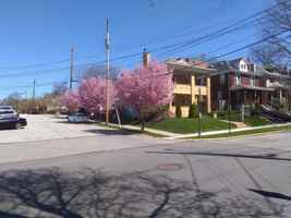 featured image of 357 Washington Ave