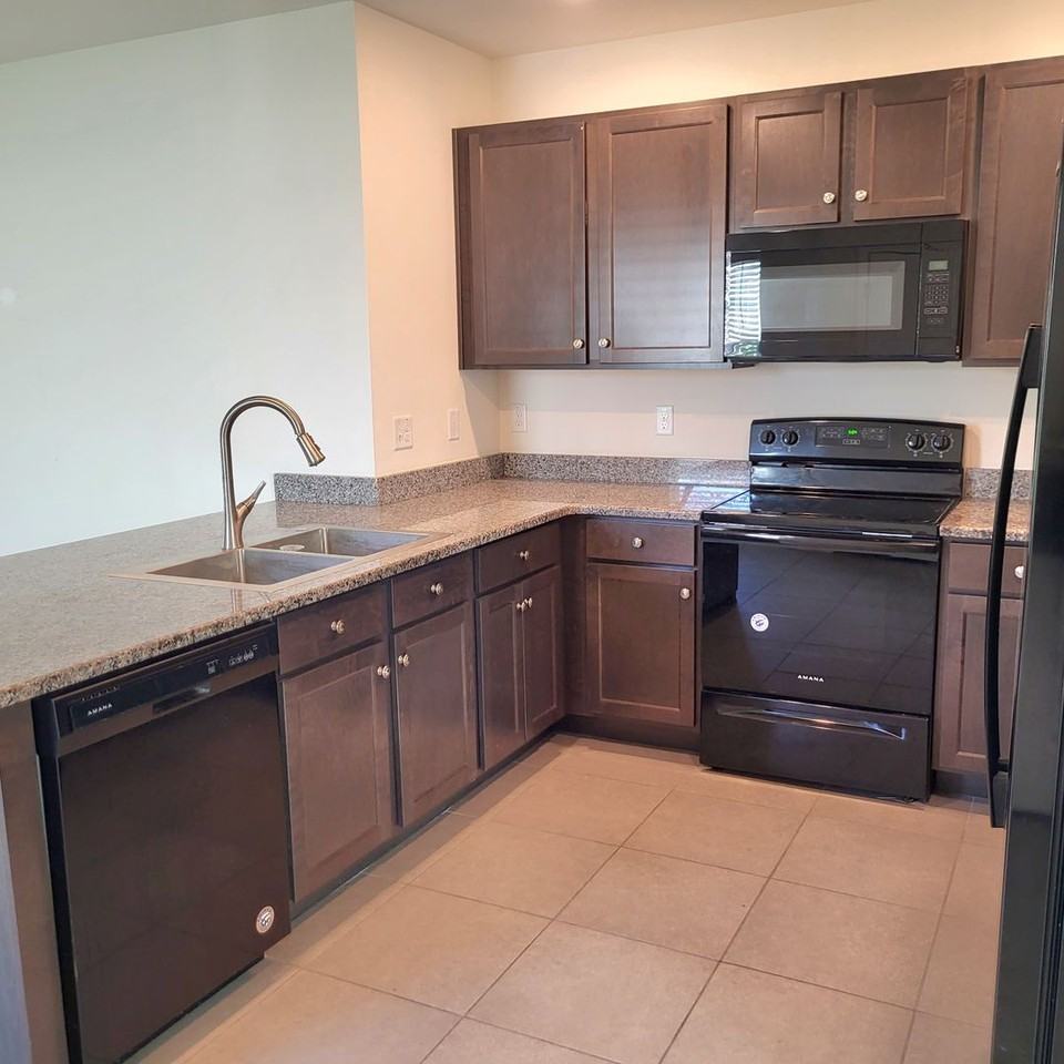 10836 Trailing Vine Dr - Photo 3 of 20