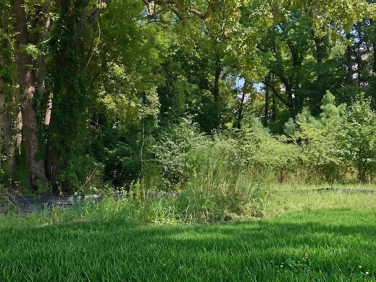 2109 Montalvan Dr #NA - Photo 6 of 27
