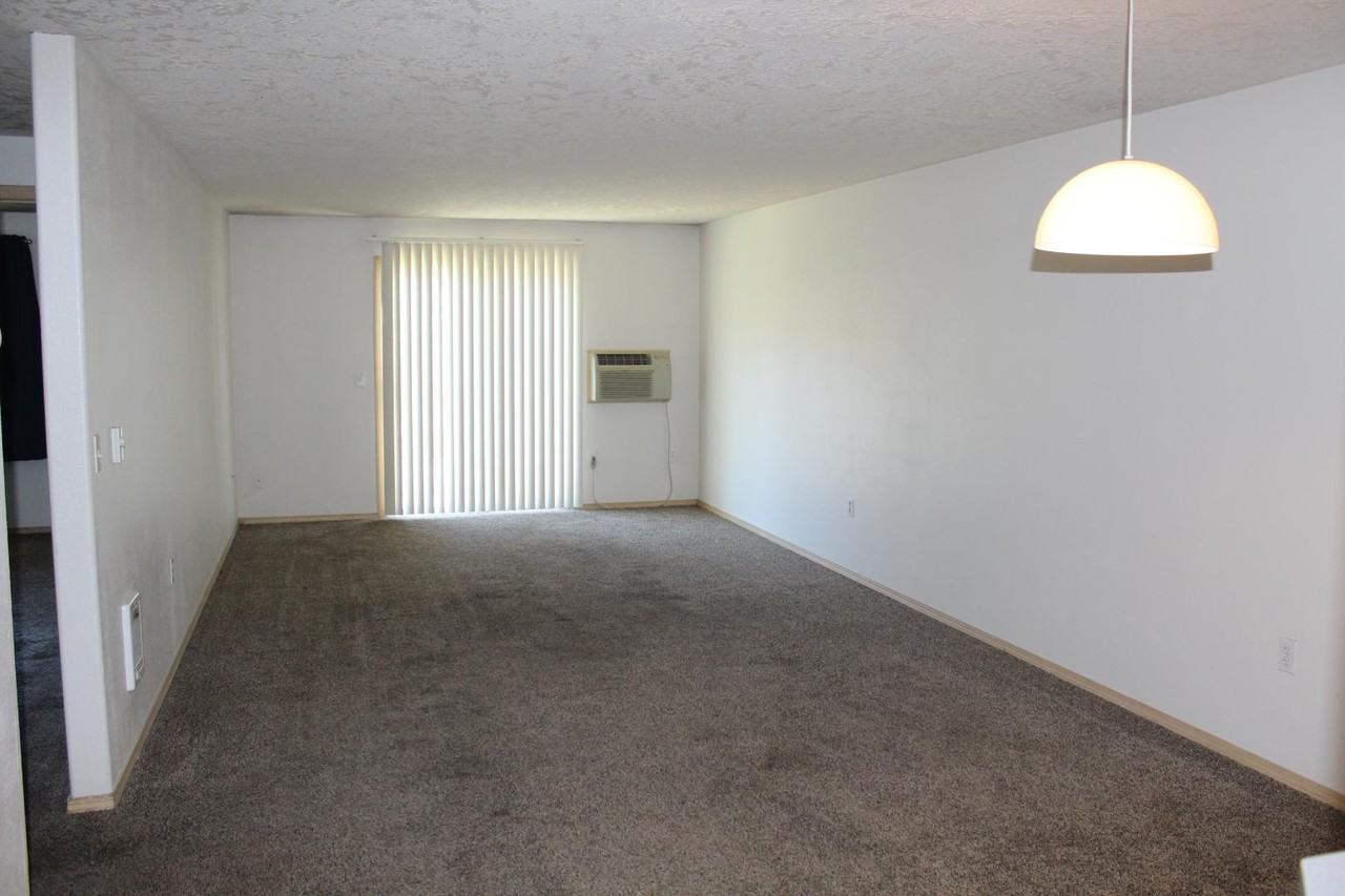 1645 Plum St - Photo 3 of 19