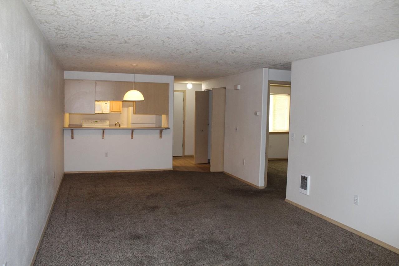 1645 Plum St - Photo 6 of 19