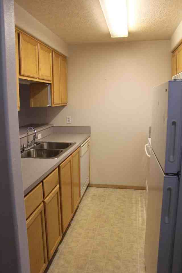 1645 Plum St - Photo 7 of 19