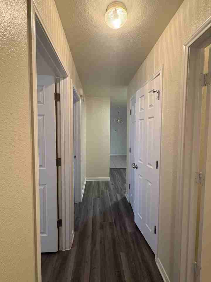 1313 Cinch Dr #B - Photo 6 of 12