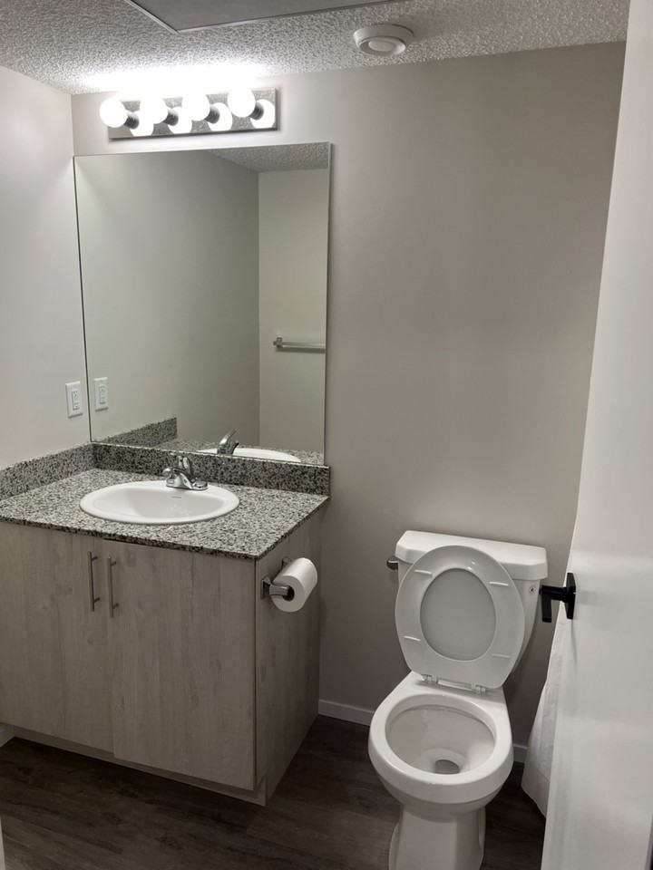 388 Silverton Glen Green - Photo 7 of 11