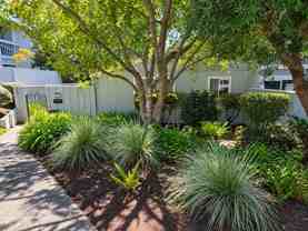 1562 Dolphin Dr - Photo 1 of 1