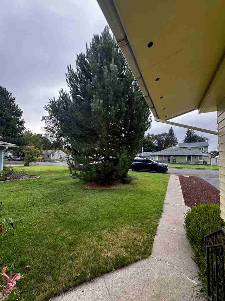 811 E Spokane Ave - Photo 4 of 17