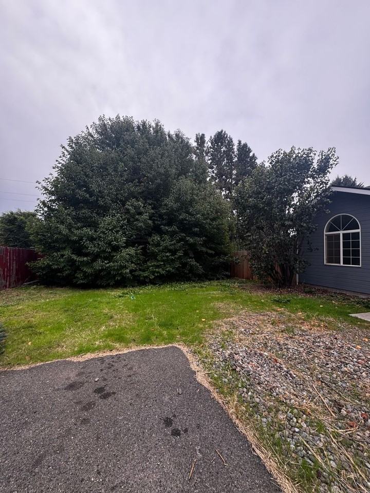 2203 N Abbey Glen Ct - Photo 3 of 17