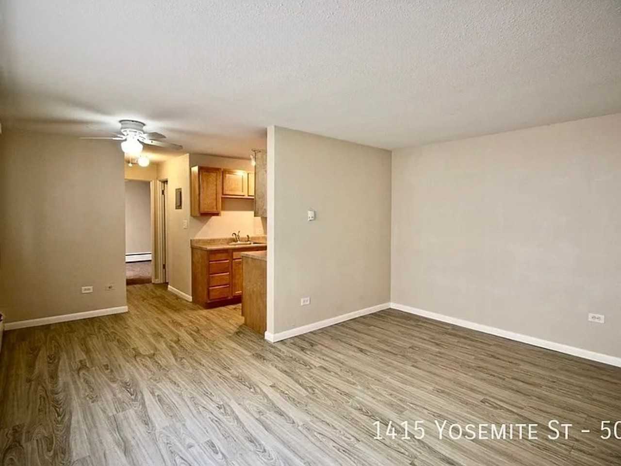 1415 Yosemite St - Photo 4 of 25