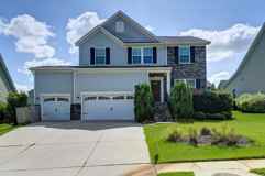 217 Golden Fluke Dr - Photo 1 of 1
