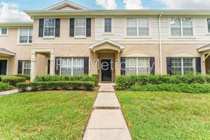 featured image of 15706 Fishhawk Falls Dr