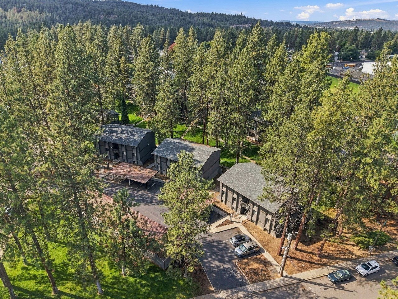 Centennial Pines Apartments! - Photo 3 of 50