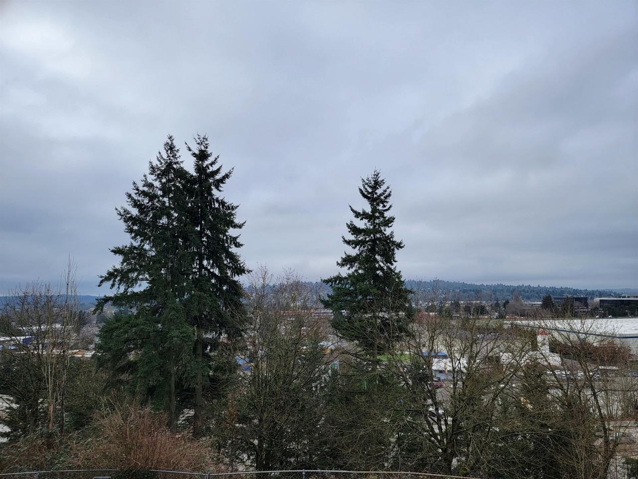 Renton Highlander - Photo 6 of 21
