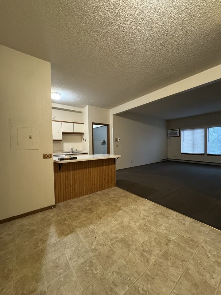 1120 9th Avenue South - Photo 7 of 15