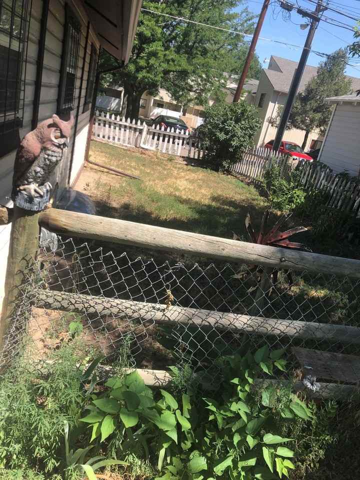 1219 1/2 13th Ave - Photo 3 of 18