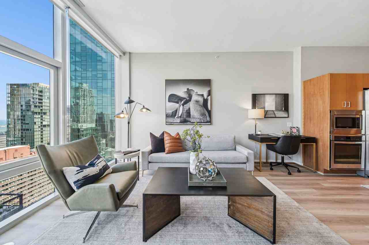 230 E Illinois St #1110 - Photo 3 of 20
