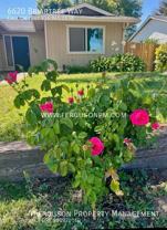 6620 Briartree Way - Photo 1 of 1