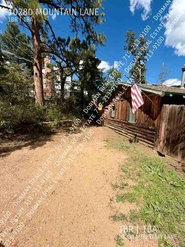10280 Mountain Ln - Photo 3 of 12