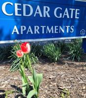 featured image of 115 Cedargate Ct #115