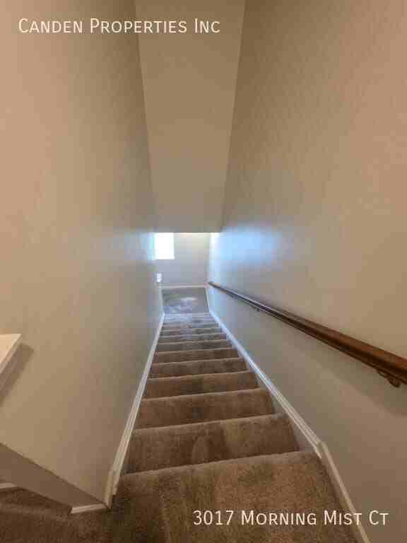 3017 Morning Mist Ct - Photo 7 of 23
