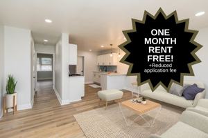 featured image of 6242 Roosevelt Blvd