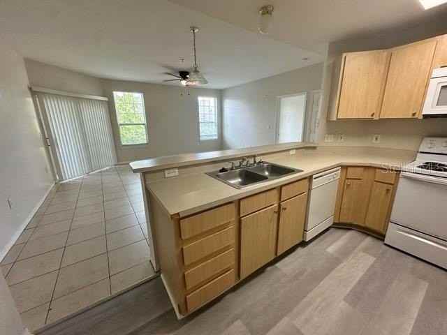 2025 Erving Cir #306 - Photo 5 of 8