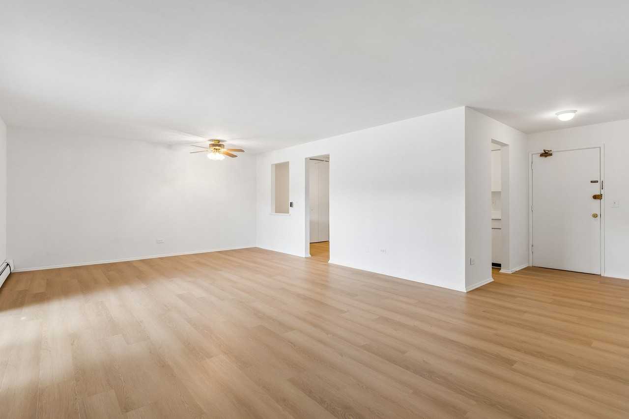 2424 E Oakton St #2L - Photo 4 of 11