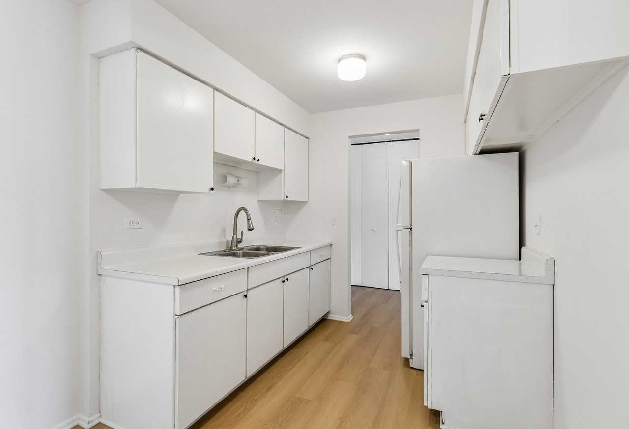 2424 E Oakton St #2L - Photo 5 of 11