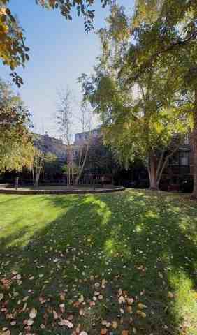 1351 W Altgeld St #1J - Photo 5 of 37