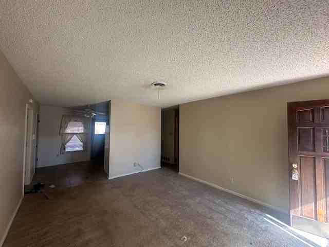 3124 Sandefer St - Photo 4 of 18