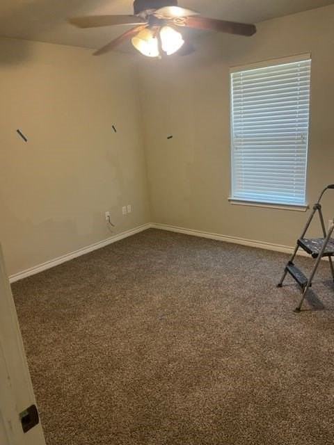 4034 Cougar Way - Photo 5 of 8