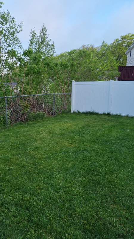 8 Pearlbush Path - Photo 4 of 13