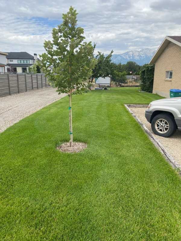 5568 Wn #1 - Photo 3 of 24