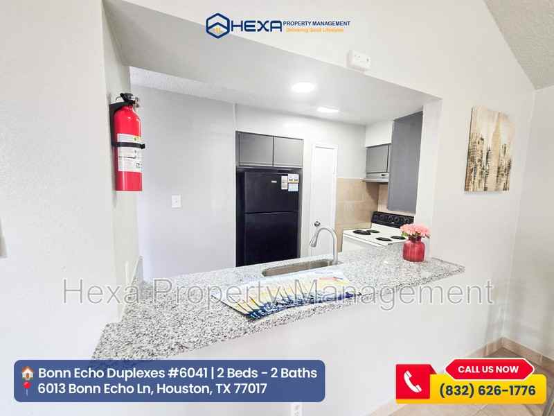 6041 Bonn Echo Ln - Photo 4 of 18