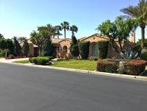 78870 Citrus - Photo 1 of 1