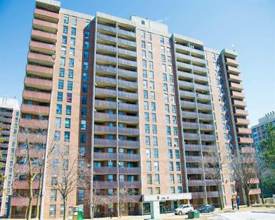 11 Lisa St Brampton On L6t 4e8 1 Bedroom Apartment For