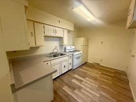 316 N 1st Avenue - Photo 1 of 1