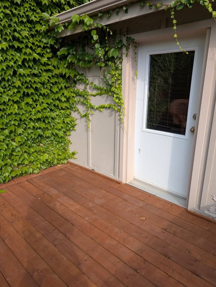 526 Waterloo Street #A - Photo 3 of 21
