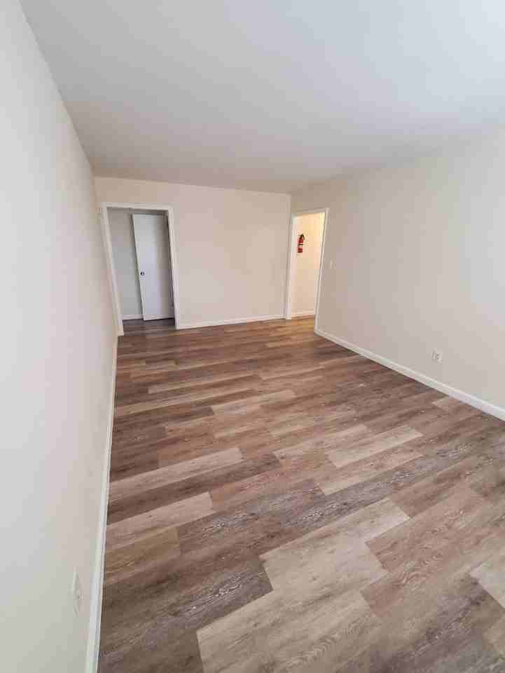 Newly Renovated Apt Across from City Hall - Photo 6 of 13