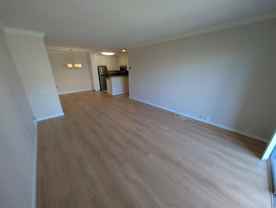 1855 Diamond St #207 - Photo 1 of 1