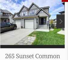 featured image of 265A Sunset Common