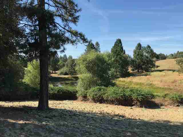7310 Dorado Canyon Rd #NA - Photo 2 of 6