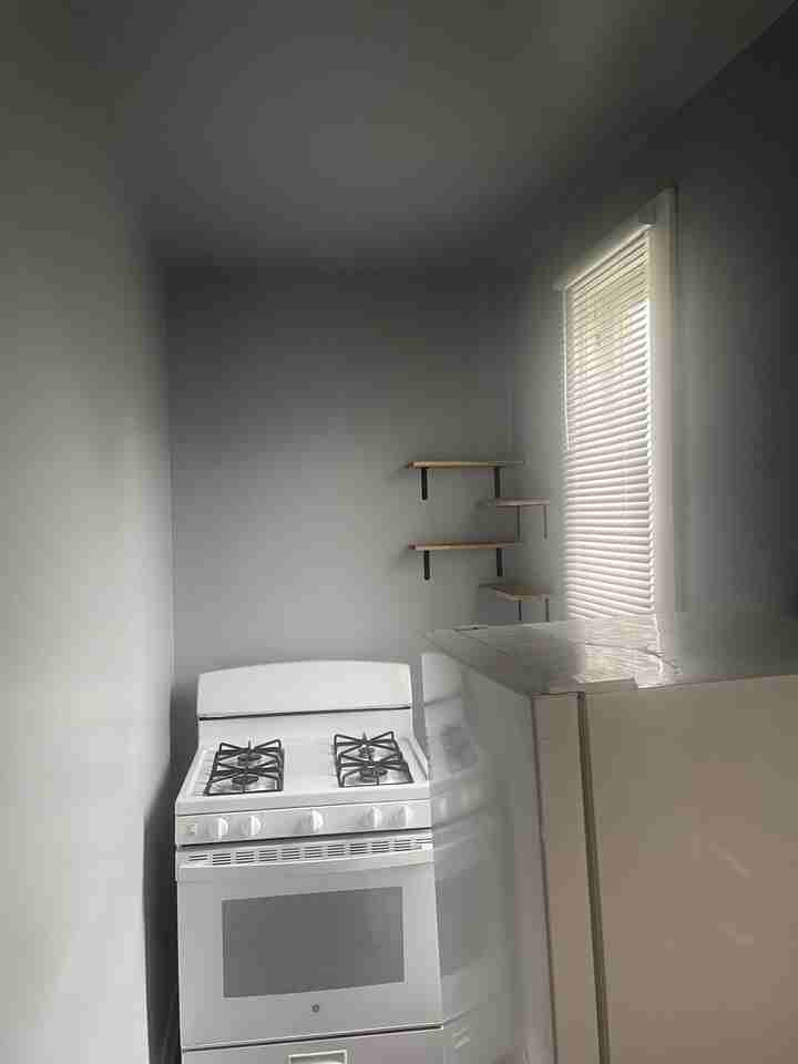 507 Grace St #507LOWER - Photo 4 of 8