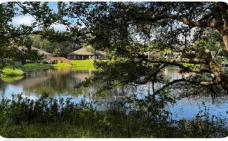 1037 Everglade Dr - Photo 1 of 1