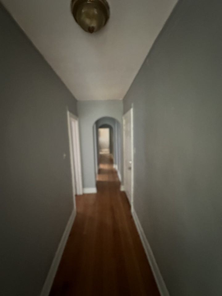 4414 S Drexel Blvd Apt 2s #4414-2S - Photo 4 of 14