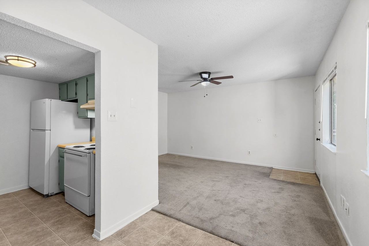 Chestnut Place Apartments - Photo 5 of 12