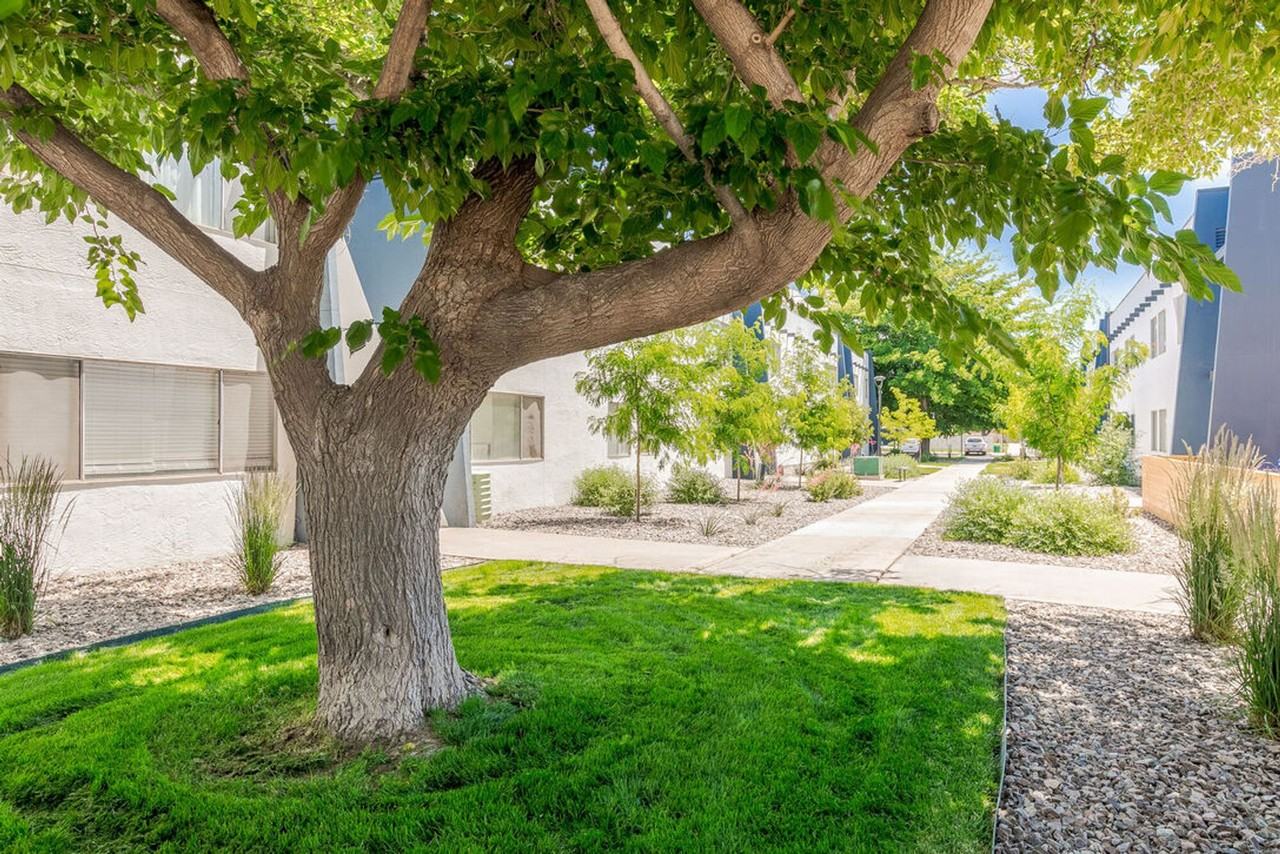 Valley Apartments - Photo 7 of 43