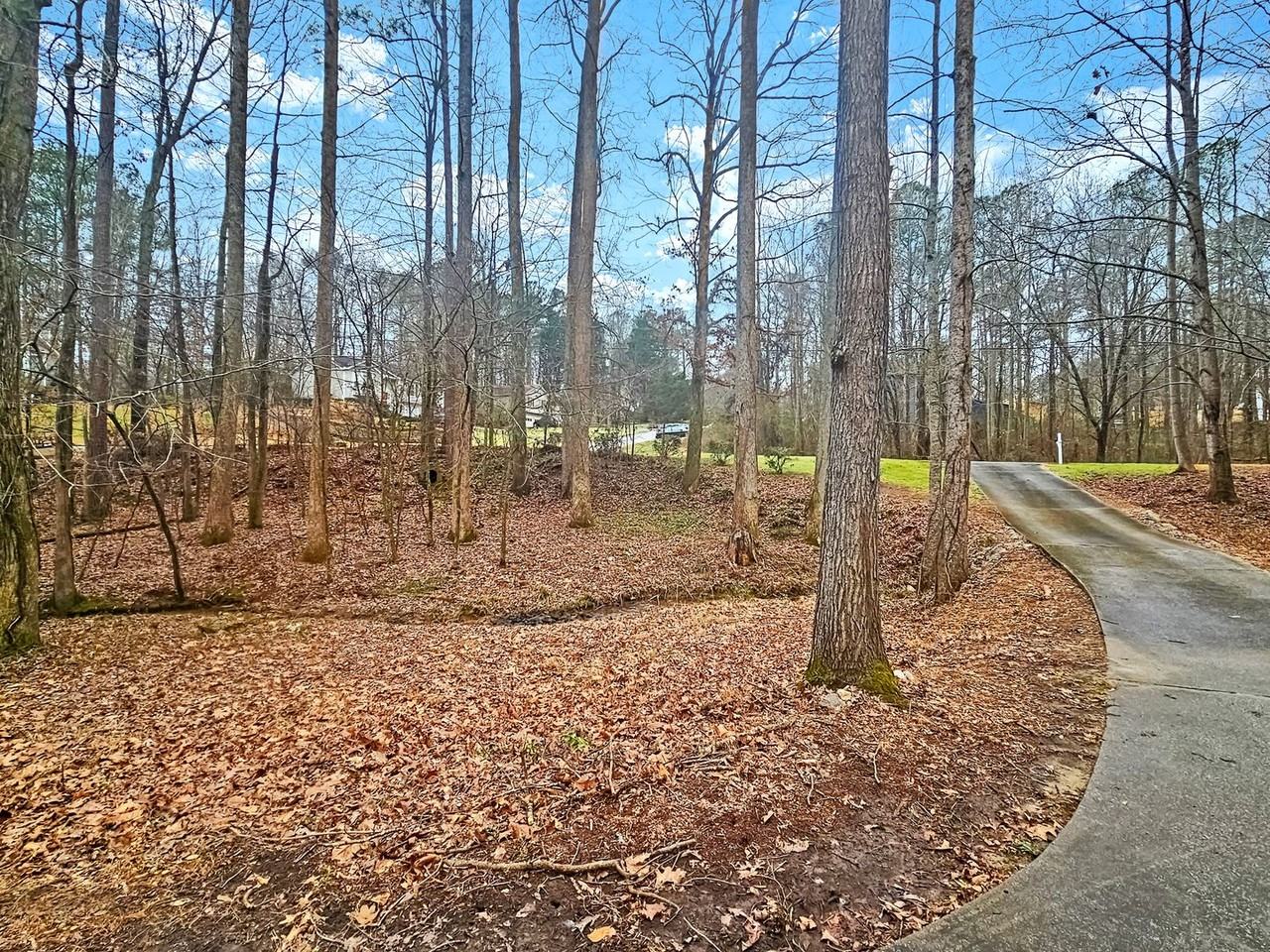 271 Ridge Run Dr - Photo 6 of 50