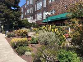 featured image of 1385 Shattuck Ave