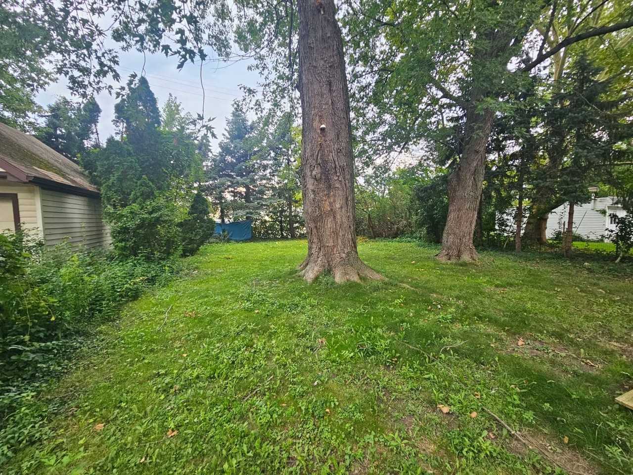368 E 232nd St - Photo 5 of 20