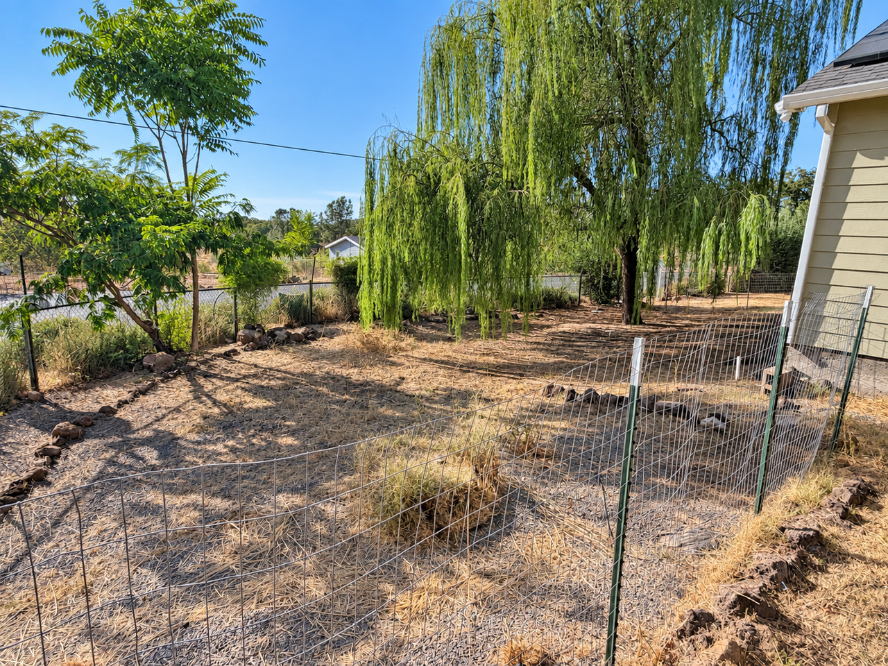 435 Apple Ln - Photo 5 of 8